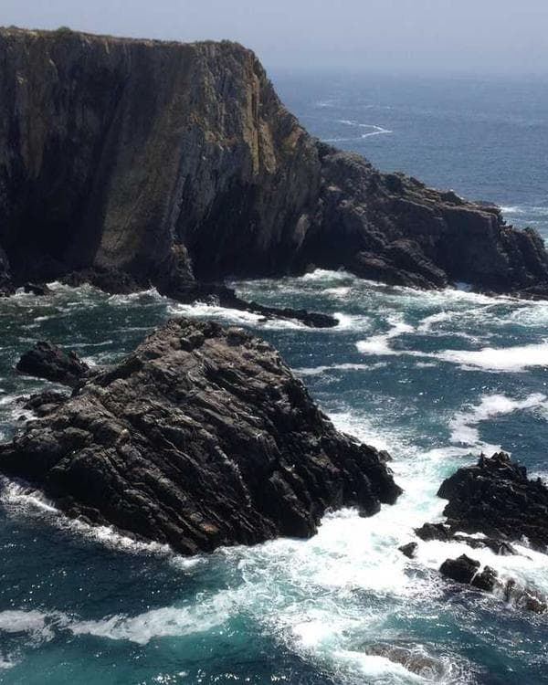 Premium perte de-poids Supplement 5 composition