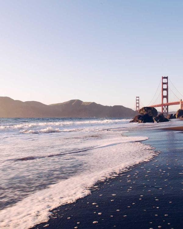 Premium perte de-poids Supplement 6 composition