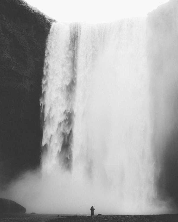 Premium perte de-poids Supplement 7