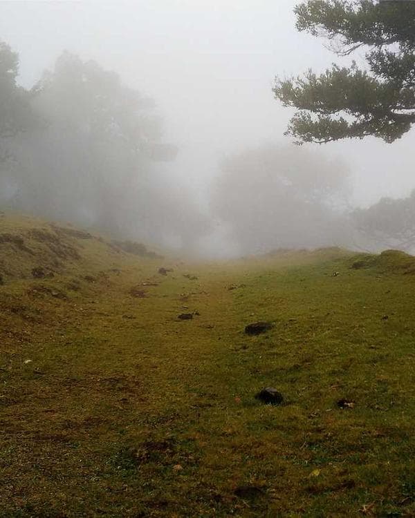 Premium perte de-poids Supplement 9 composition