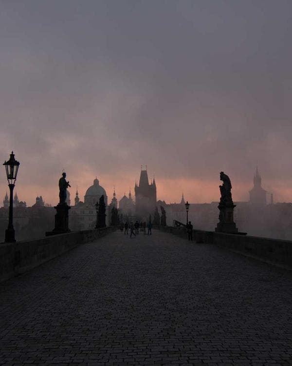 Premium perte de-poids Supplement 10 composition