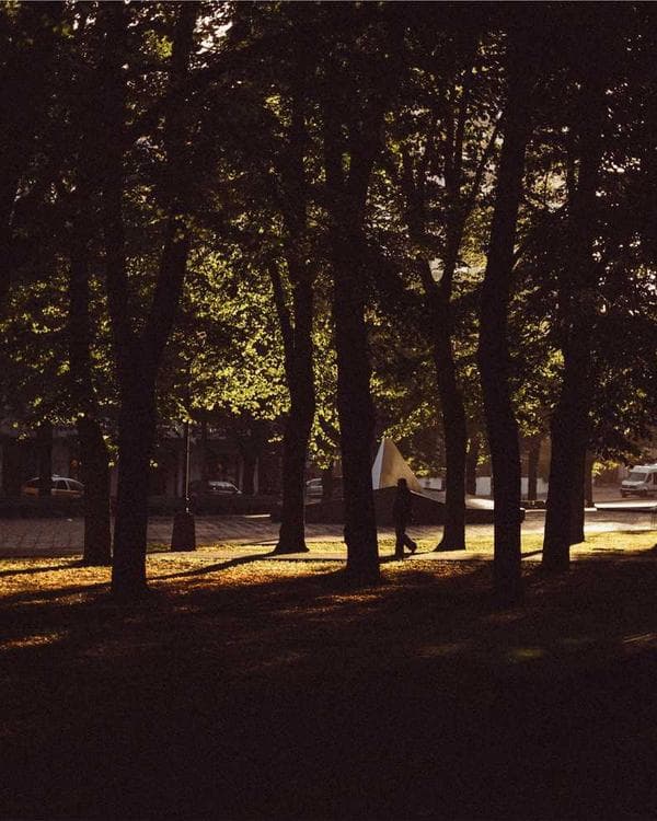 Premium proteines Supplement 1