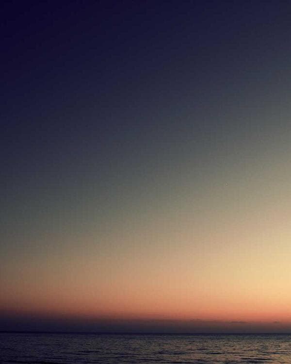 Premium proteines Supplement 11