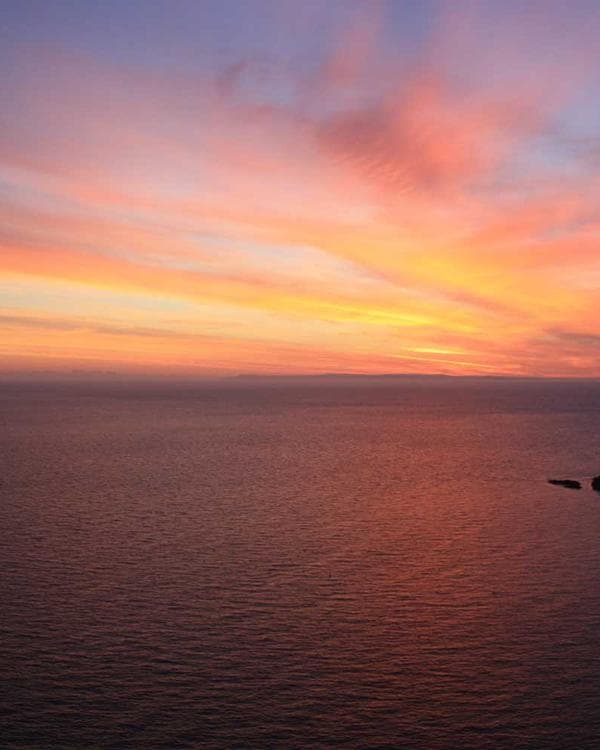 Premium proteines Supplement 12