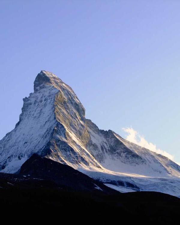 Premium proteines Supplement 5