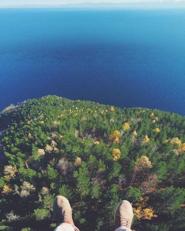 Premium proteines Supplement 5 composition