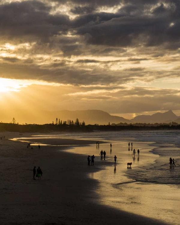 Premium proteines Supplement 6 composition