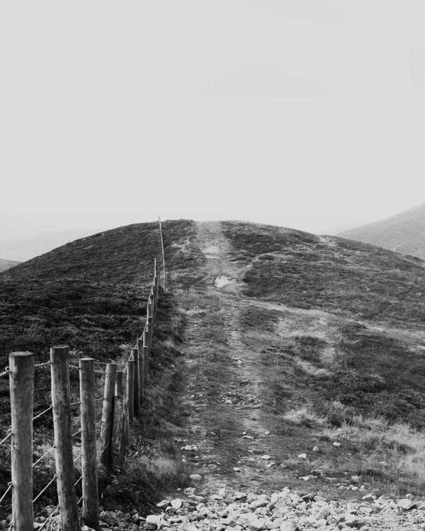 Premium proteines Supplement 8