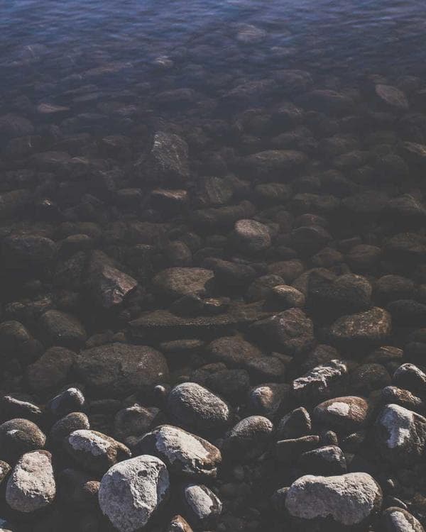 Premium sante bien-etre Supplement 12