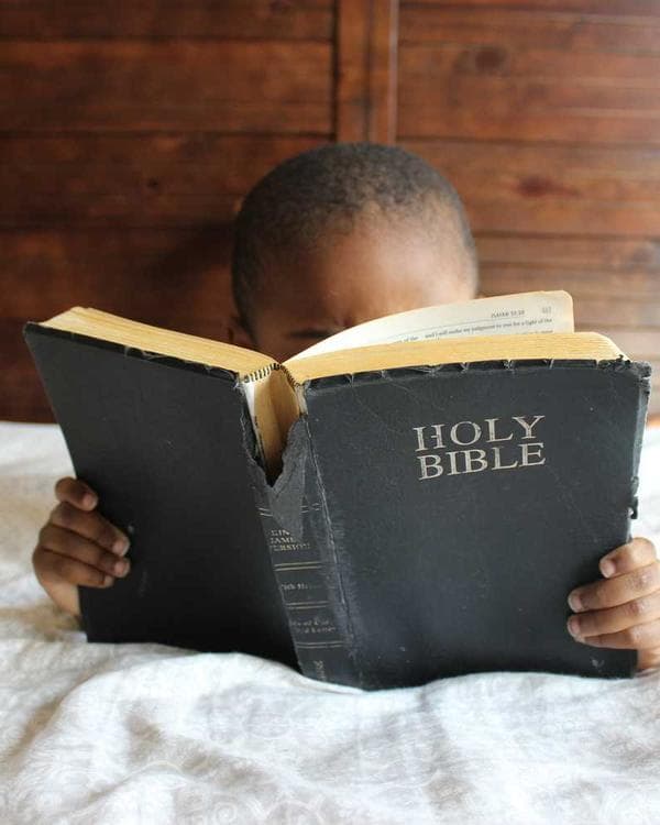 Premium sante bien-etre Supplement 4 composition