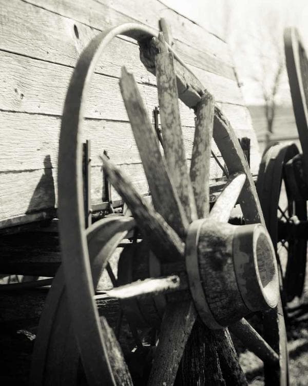 Premium sante bien-etre Supplement 5