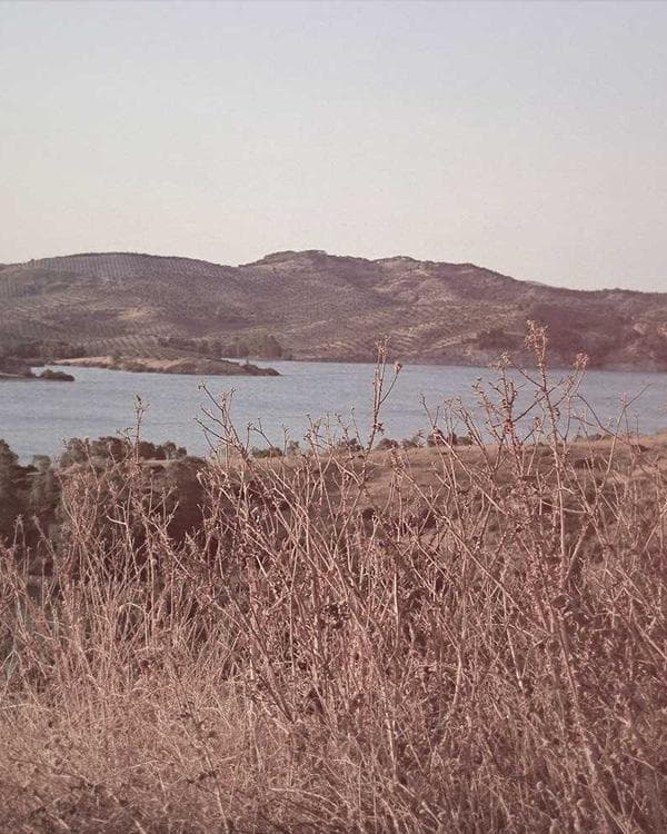 Premium sante bien-etre Supplement 5 composition