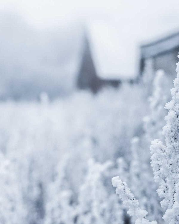 Premium sante bien-etre Supplement 7