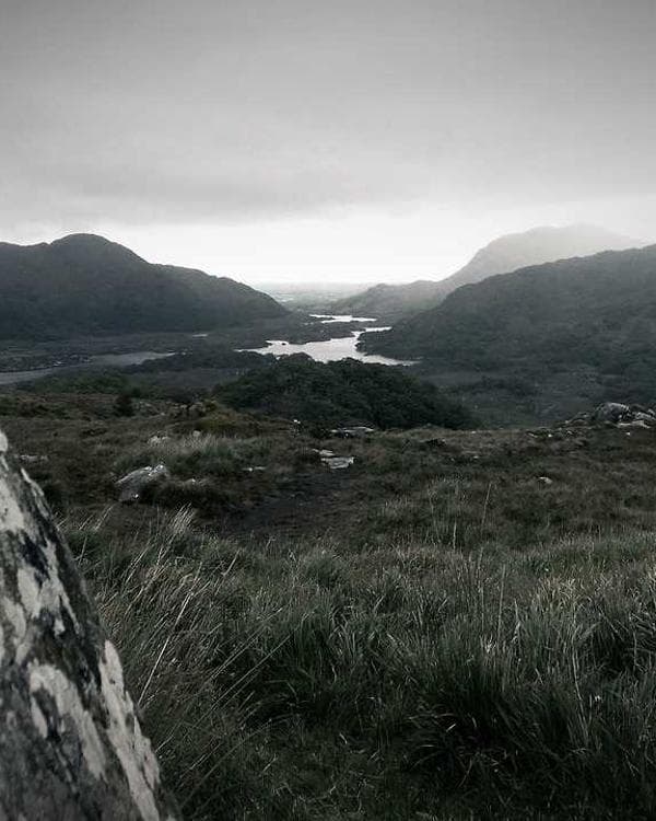 Premium testosterone Supplement 1 composition