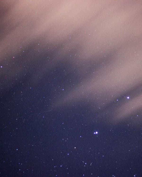 Premium testosterone Supplement 2