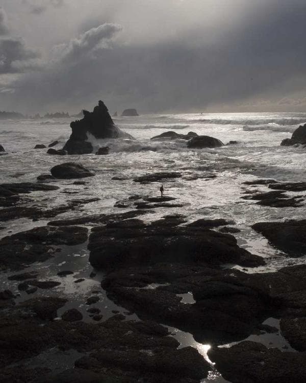 Premium testosterone Supplement 3