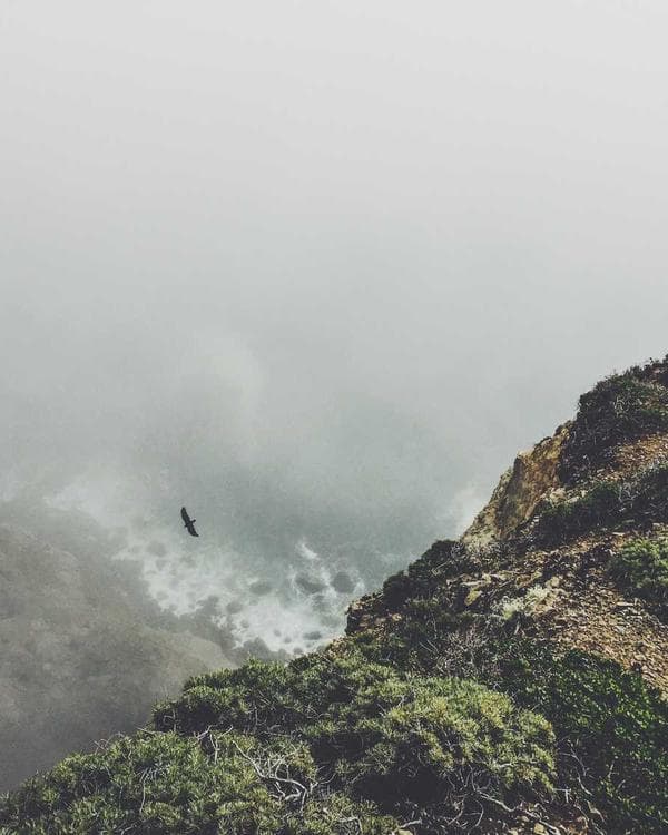 Premium testosterone Supplement 3 composition