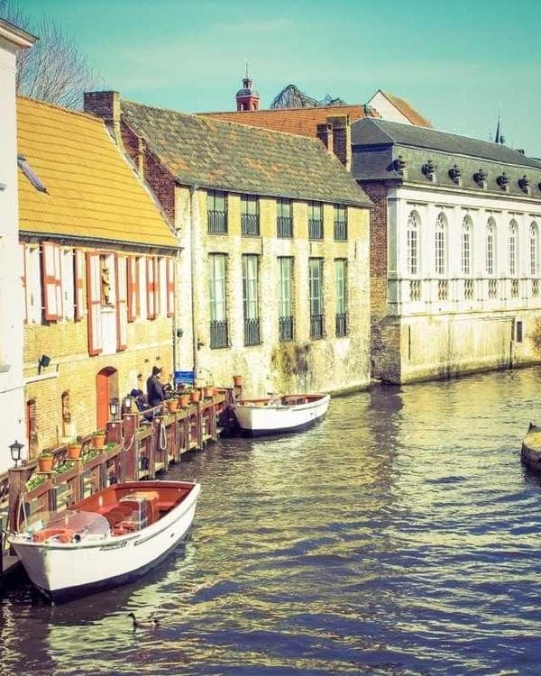 Premium testosterone Supplement 5 composition