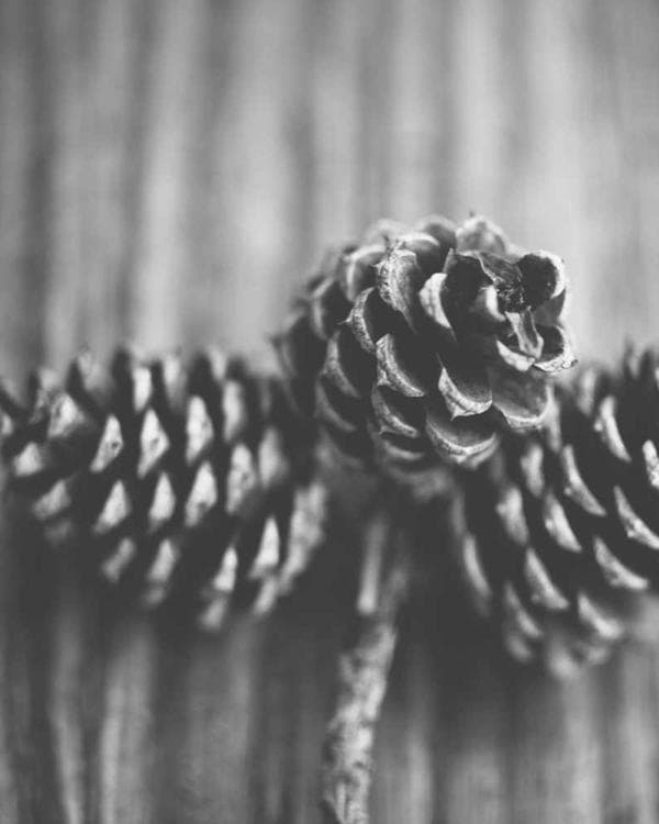 Premium testosterone Supplement 7