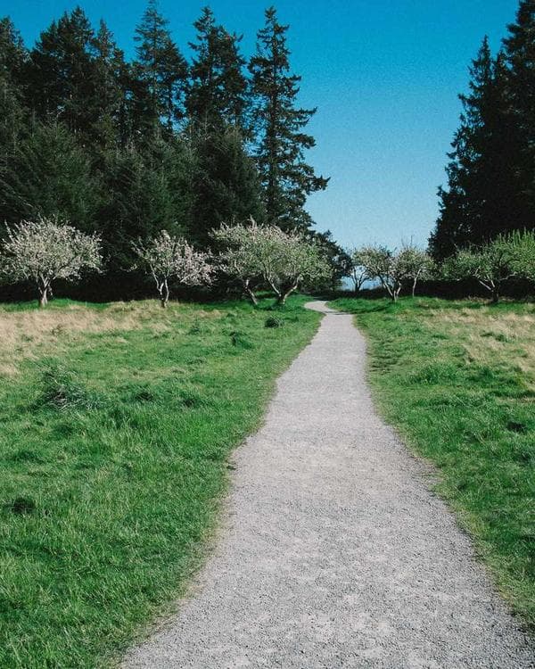 Premium testosterone Supplement 8