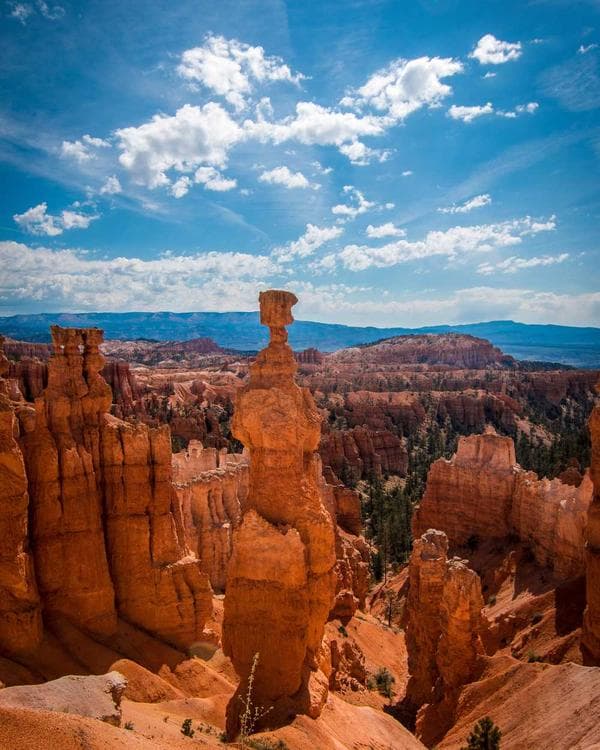 Premium testosterone Supplement 8 composition