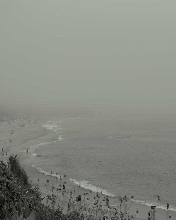 Premium testosterone Supplement 10